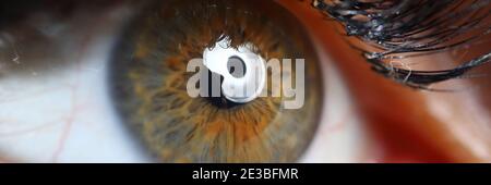 Female green-brown eye close up. Stock Photo