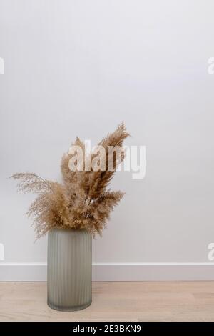 Pampas grass in a vase near white wall. Stock Photo