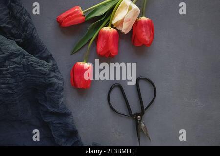 Red tulips on gray stone table Stock Photo