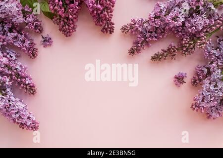 Purple lilac spring flowers on pastel background Stock Photo