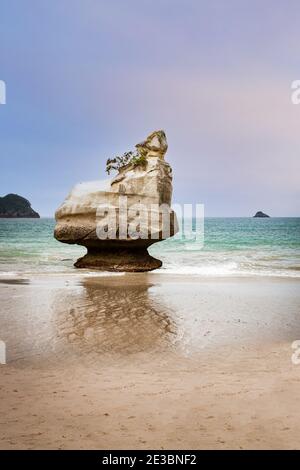 Cathedral Cove (Te Whanganui-A-Hei) on Coromandel Penisula in New Zealand. Famous touristic attraction on the North Island. Stock Photo