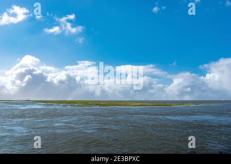Coming tide in the salt marshes, Fedderwardersiel, Lower Saxony, Germany, Europe Stock Photo