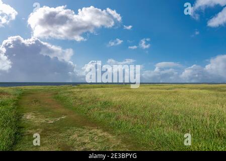 Landscape with salt marshes, the Weser estuary in the background, Fedderwardersiel, Lower Saxony, Germany, Europe Stock Photo