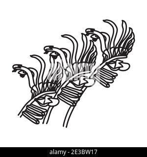 Kangaroo Floral Hand Drawn. Vector Design Illustration Sign Logo. Stock Vector