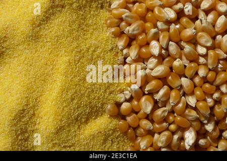Whole corn kernels and grated corn ready to cook polenta Stock Photo