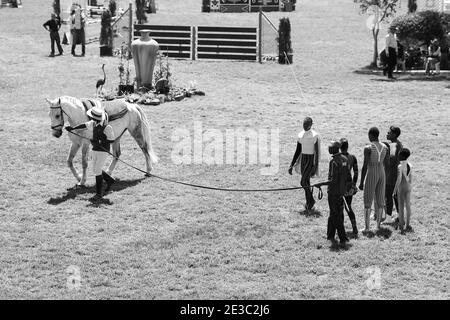 JOHANNESBURG, SOUTH AFRICA - Jan 06, 2021: Johannesburg, South Africa - October 08 2011: Equestrian Show Jumping and Horse Riding display Stock Photo