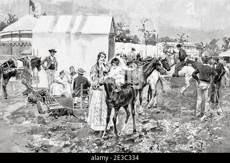 Feria americana hi-res stock photography and images - Alamy