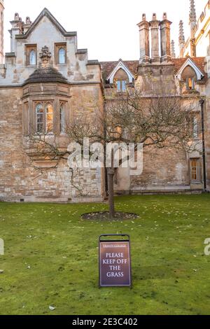 Apple tree outside Newton’s old rooms at Trinity College Cambridge with please keep of grass sign Stock Photo