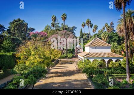 The gardens of the Alcazar of Seville, Andalusia, Spain. Stock Photo