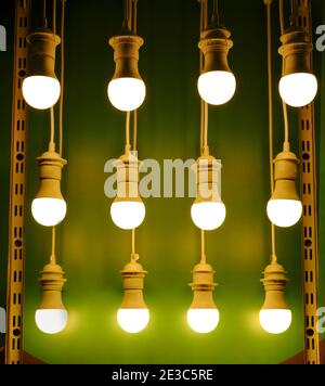Lighting and Energy saving light bulbs. Green background. light-saving lamps sale in the store. Stock Photo