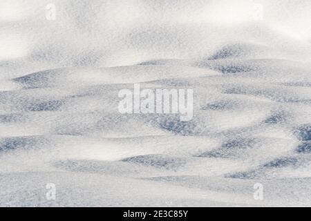 Smooth snow drifts on sunny winter day. Deep and high snow drifts illuminated by sunlight and being in shadow Stock Photo