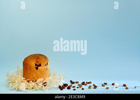 Easter cake in the form of a round fried cupcake with raisins. In a nest made of baking paper shavings. Nearby is a track of individual dried brown be Stock Photo