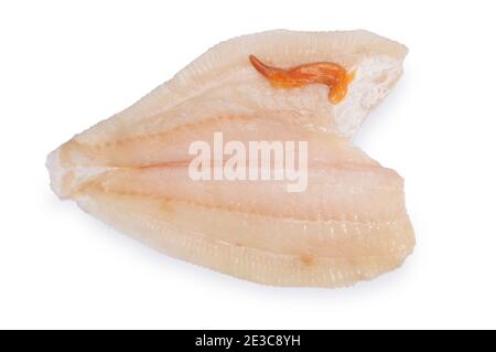 Studio shot of fillet of brill, a member of the turbot family, cut out against a white background. Stock Photo