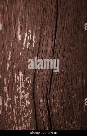 wood texture wooden background from old boards. Stock Photo