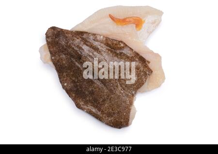 Studio shot of fillet of brill, a member of the turbot family, cut out against a white background. Stock Photo