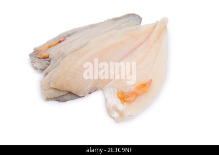 Studio shot of fillet of brill, a member of the turbot family, cut out against a white background. Stock Photo