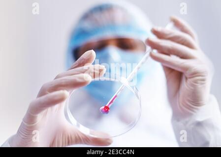 Petri dish with a blood sample in the hands of a scientist in the laboratory. Stock Photo