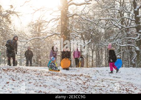 Kyiv, Ukraine, January 15 2021 children riding sled on a hill in a sunny winter city park Stock Photo