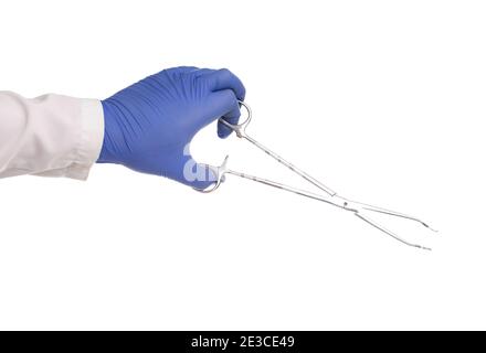 Doctor in a medical glove holds a surgical scissors on a white background, isolate. Close-up, veterinarian Stock Photo