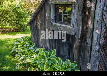 An Old Shed in the Berkshire Botanical Garden Stock Photo