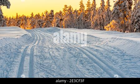 Cross country skiing slope running through a snow covered frozen forest at dusk. Stock Photo