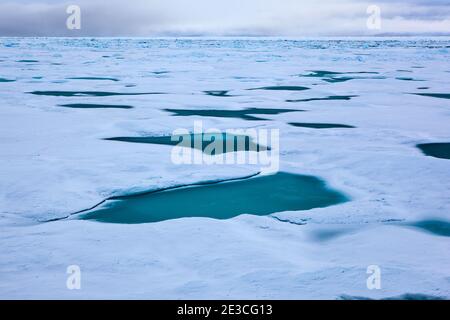 Arctic Sea Ice, Fram Strait, between Greenland and Svalbard, September 2009. In August 2012, Arctic sea ice hit a record minimum - this will affect we Stock Photo