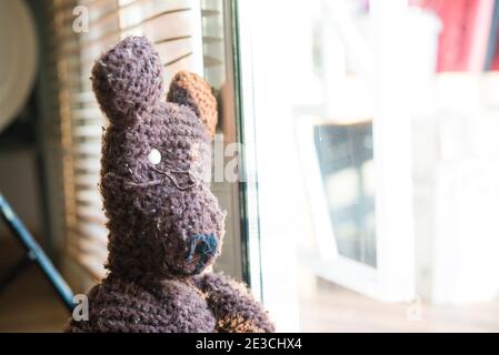 teddy bear in home Stock Photo