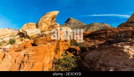 Turtle Head Peak Over Sandstone Slickrock on The Calico Hills Tank Trail, Red Rock Canyon National Conservation Area, Las Vegas, Nevada, USA Stock Photo