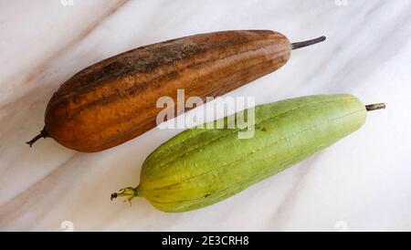 Two luffa fruits, one dried and brown in color, with another green in color. Stock Photo