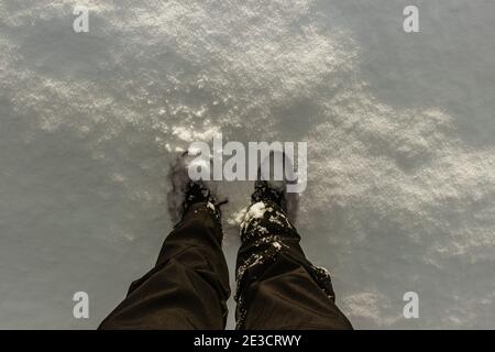 Detail of warm waterproof boots in deep fresh snow.Female feet in black shoes, winter walking in snow.High angle view of standing female legs Stock Photo