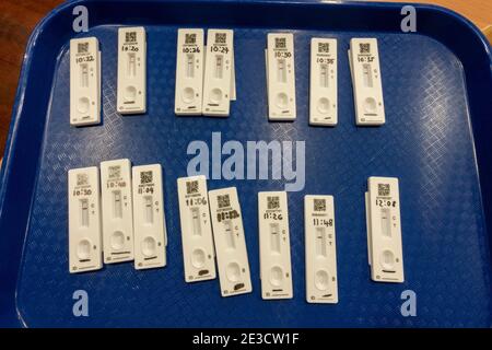 A tray of used Innova lateral flow tests (all negative) used to test for Covid-19 after use in a secondary school Covid test centre, UK. Stock Photo
