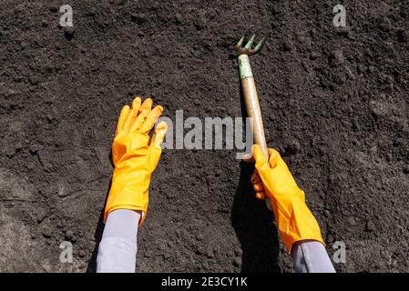 Spring garden activity. Female hands use Garden tools to plant close up. Garden tools. Top view. Stock Photo