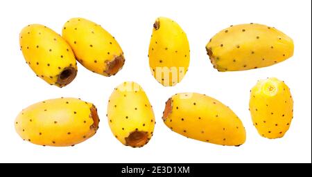 Collection of fruit. Different shapes of fresh whole prickly pears cactus isolated on white background with clipping path as package design element an Stock Photo