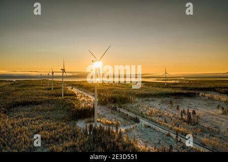 Spectacular side fly in slightly foggy air behind two rows of wind turbines and winter sunset. Flying above winter scandinavian pine tree forest to se Stock Photo