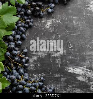 Black juicy grapes on vintage dark concrete background. Frame made of grapes. Copy space for text or menu on black scuffed background. square crop Stock Photo