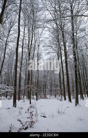 Cold air from Siberia covers Poland in Heavy Snow and sees Stock Photo