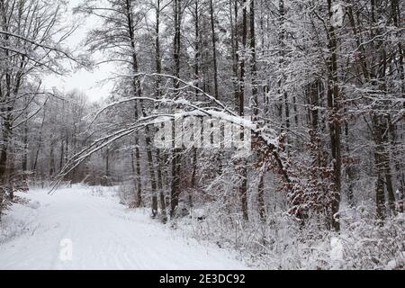 Cold air from Siberia covers Poland in Heavy Snow and sees Stock Photo