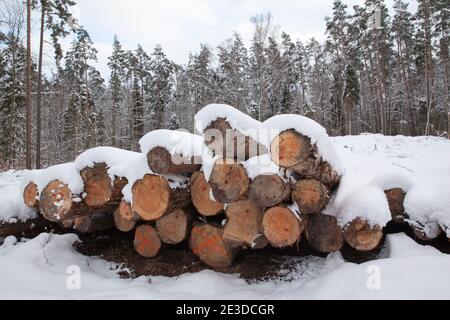 Cold air from Siberia covers Poland in Heavy Snow and sees Stock Photo