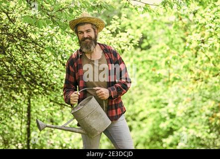 watering plants and flowers. Gardener pouring water from can. mature agricultural worker with watering can. caucasian male farmer in country. Gardening in vegetable garden. Stock Photo