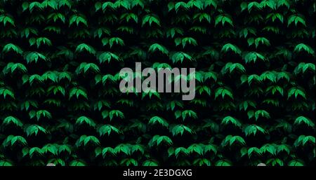 Green leaves pattern background texture. Stock Photo
