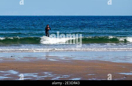 Surfers on Belhaven Beach, near Dunbar, East Lothian Stock Photo