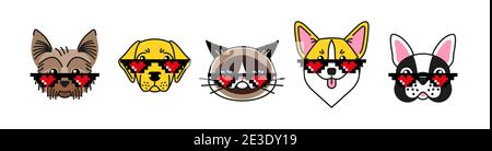 Bulldog, corgi, labrador, terrier and grumpy cat  Stock Vector