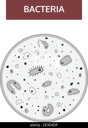 Bacteria Microbe vector concept red seamless pattern Stock Vector Image ...