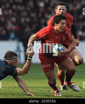 Byron Kelleher during the Heineken Cup Rugby match, Stade Toulousain vs Glasgow at the Ernest Wallon Stadium in Toulouse, France on January 17, 2009. Photo by Steeve McMay/Cameleon/ABACAPRESS.COM Stock Photo