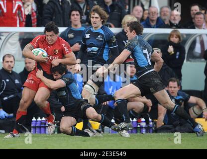 Byron Kelleher during the Heineken Cup Rugby match, Stade Toulousain vs Glasgow at the Ernest Wallon Stadium in Toulouse, France on January 17, 2009. Photo by Steeve McMay/Cameleon/ABACAPRESS.COM Stock Photo