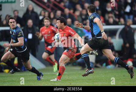 Byron Kelleher during the Heineken Cup Rugby match, Stade Toulousain vs Glasgow at the Ernest Wallon Stadium in Toulouse, France on January 17, 2009. Photo by Steeve McMay/Cameleon/ABACAPRESS.COM Stock Photo