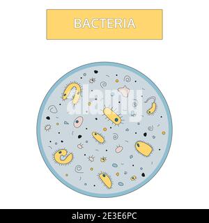 Doodle style, handdrawn drawing. Colorful yellow bacteria with a blue nucleus on a blue background under a microscope. Medical flat concept. Stock Vector