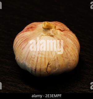 Garlic bulb on a black background Stock Photo