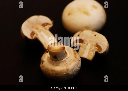 white button mushrooms, or agaricus isolated on a black background Stock Photo