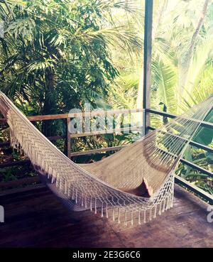 Woman relaxing in a hammock on a patio in the jungle, surrounded by tropical plants Stock Photo